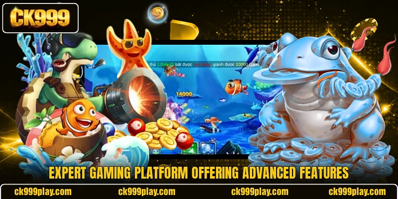 Expert gaming platform offering advanced features